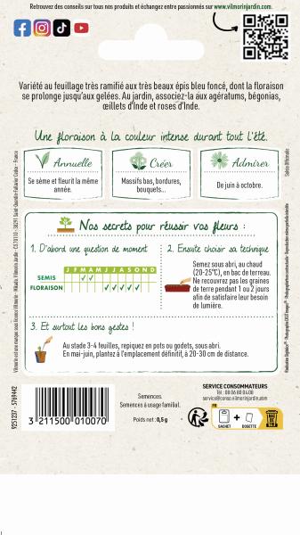 Fleurs - Sauge Victoria - MEDIA_PACKAGING_VERSO